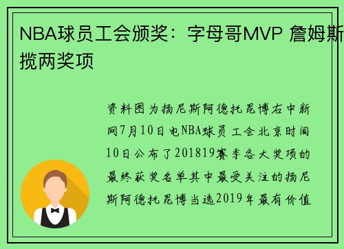 NBA球员工会颁奖：字母哥MVP 詹姆斯揽两奖项