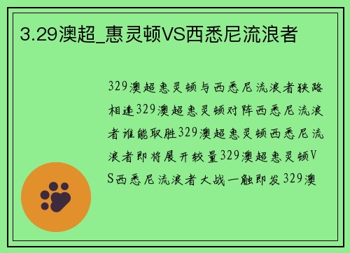 3.29澳超_惠灵顿VS西悉尼流浪者